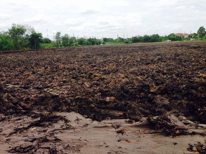 รับเหมาถมดิน ถมทราย ทำถนนปูน ถนนลูกรัง